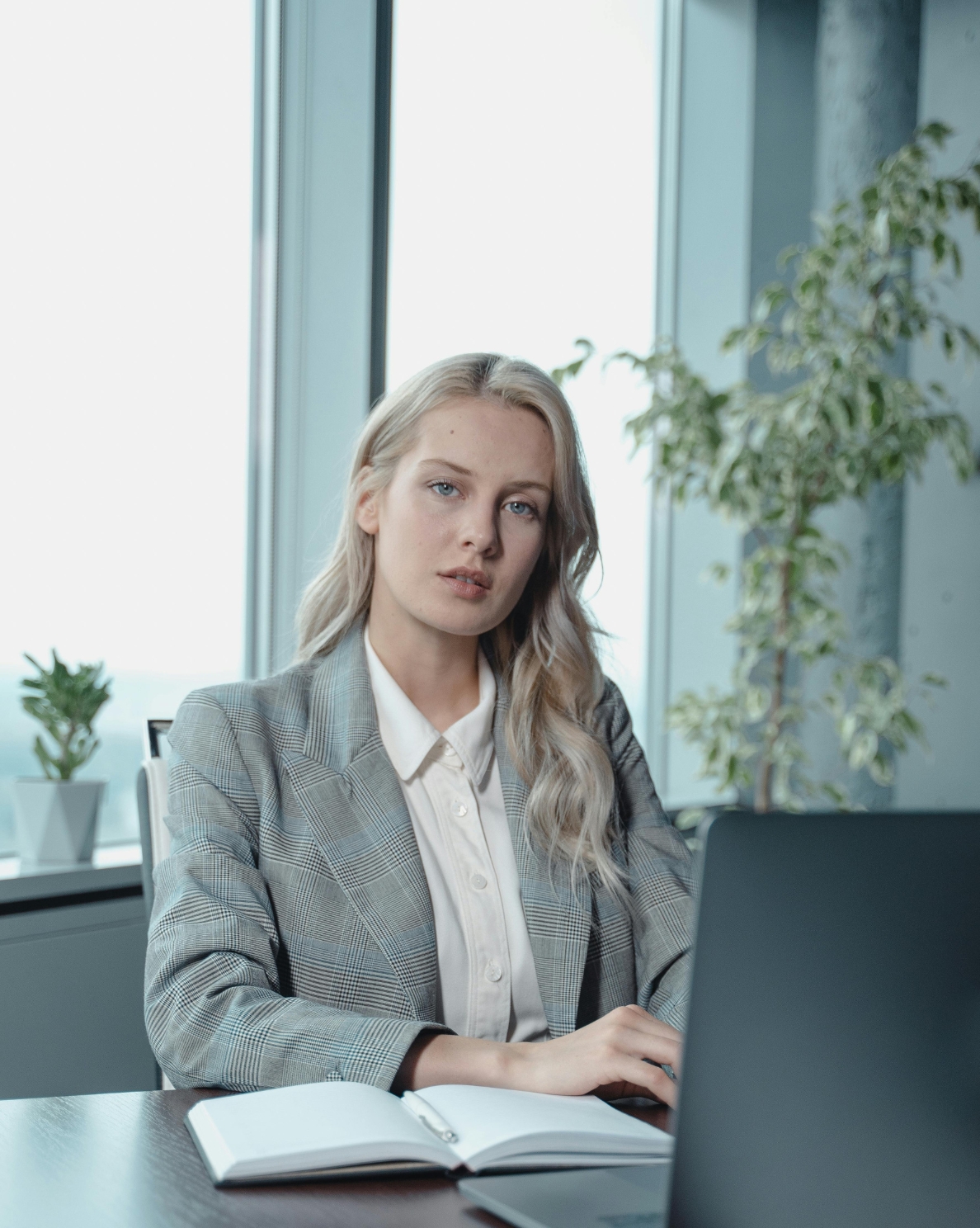 Contract Law & Business Disputes Attorney