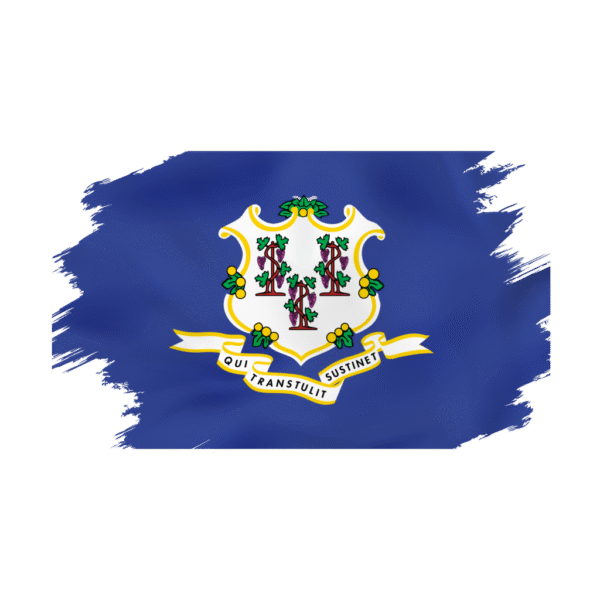 LLC FORMATION ON 𝗖𝗢𝗡𝗡𝗘𝗖𝗧𝗜𝗖𝗨𝗧 STATE