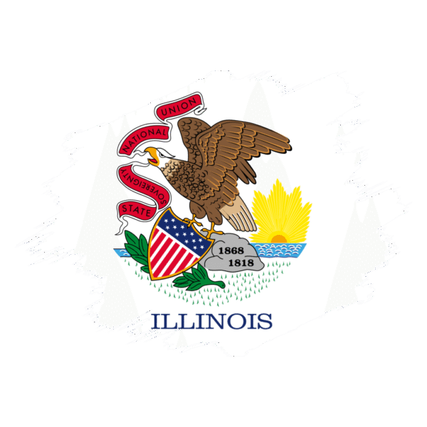 LLC FORMATION ON 𝗜𝗟𝗟𝗜𝗢𝗡𝗜𝗦 STATE