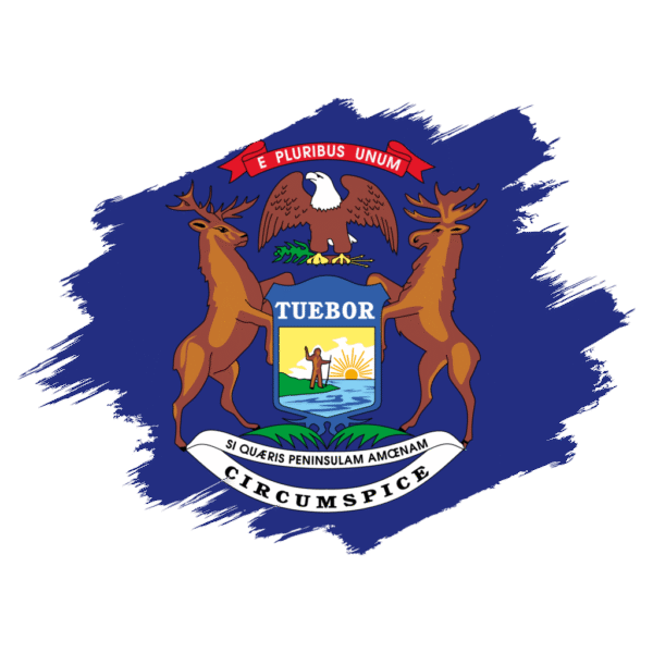 LLC FORMATION ON 𝗠𝗜𝗖𝗛𝗜𝗚𝗔𝗡 STATE