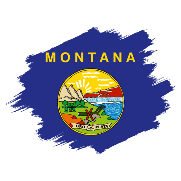 LLC FORMATION ON 𝗠𝗢𝗡𝗧𝗔𝗡𝗔 STATE