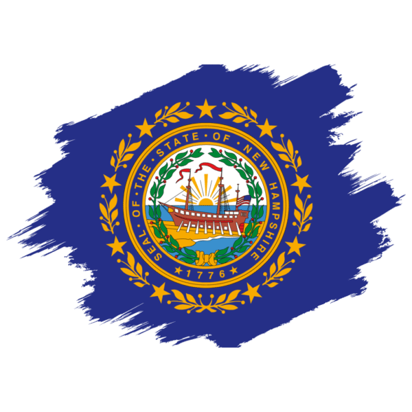 LLC FORMATION ON 𝗡𝗘𝗪 𝗛𝗔𝗠𝗣𝗦𝗛𝗜𝗥𝗘 STATE