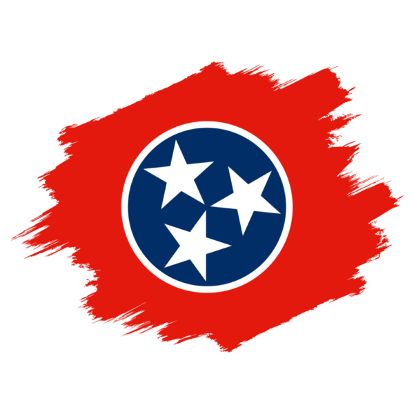 LLC FORMATION ON 𝗧𝗘𝗡𝗡𝗘𝗦𝗦𝗘𝗘 STATE