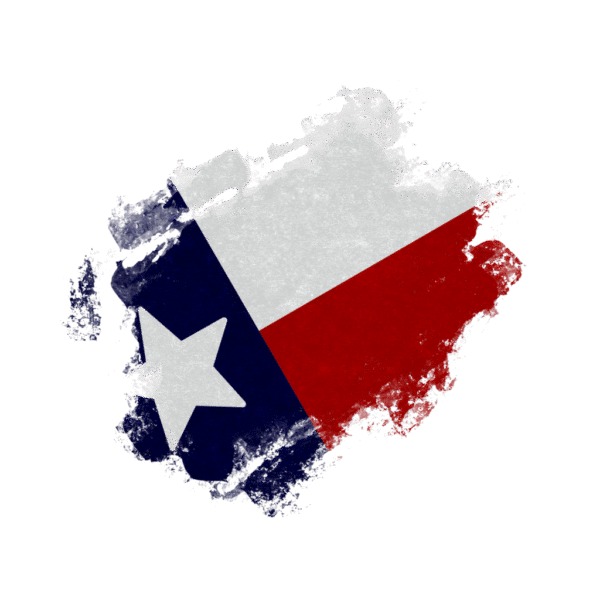 LLC FORMATION SERVICE ON 𝗧𝗘𝗫𝗔𝗦 STATE